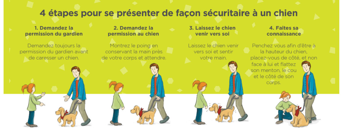 Se présenter de façon sécuritaire à un chien - Société Protectrice des