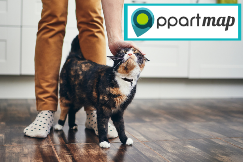 Comment trouver un logement avec mon animal de compagnie