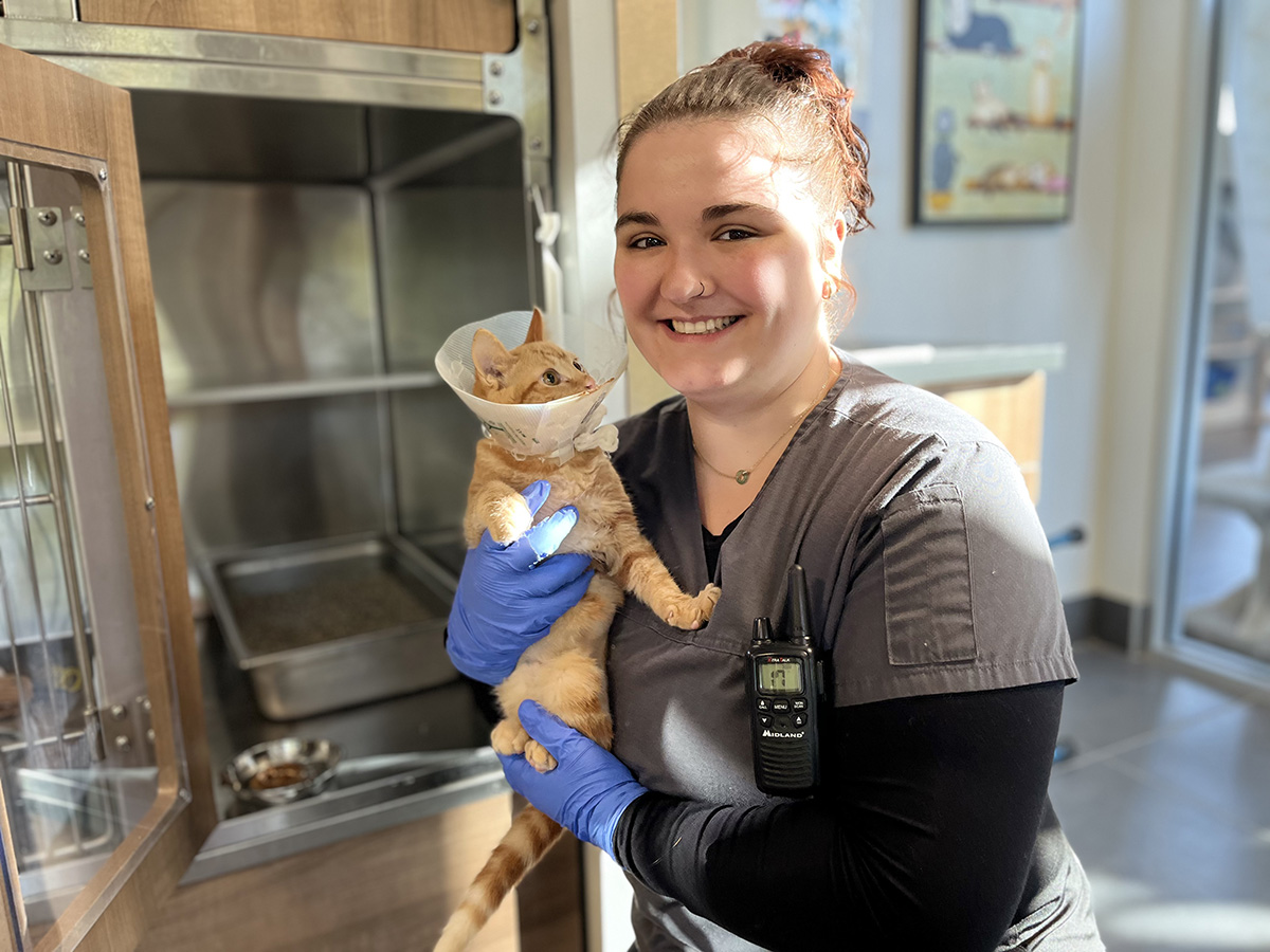 Faire-carriere-SPA-Estrie-02 SPA Estrie - La Société protectrice des animaux de l’Estrie - Organisme de charité soucieux du bien-être des animaux